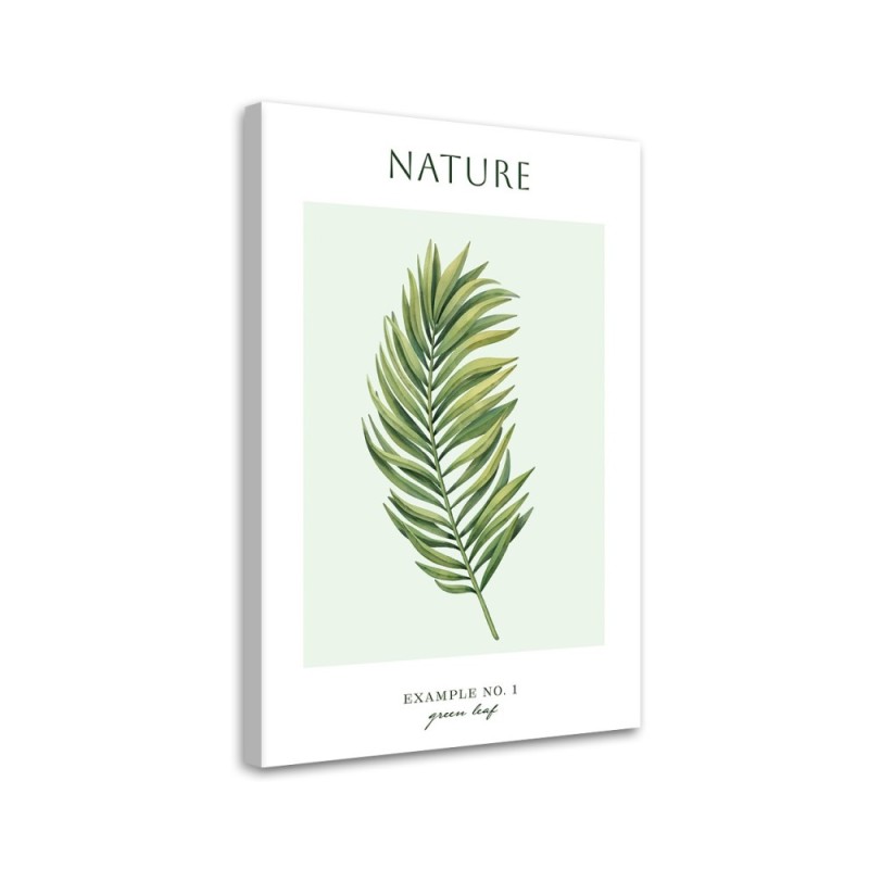 Leinwanddruck - Grünes Blatt - Natur | Feeby