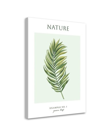 Leinwanddruck - Grünes Blatt - Natur | Feeby