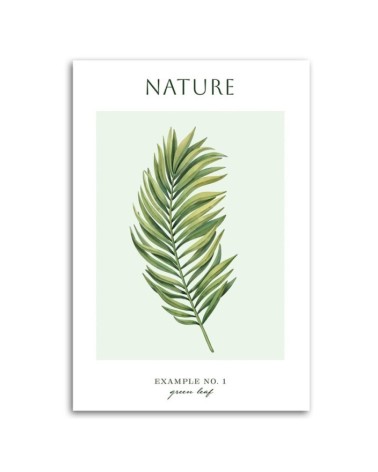 Leinwanddruck - Grünes Blatt - Natur | Feeby