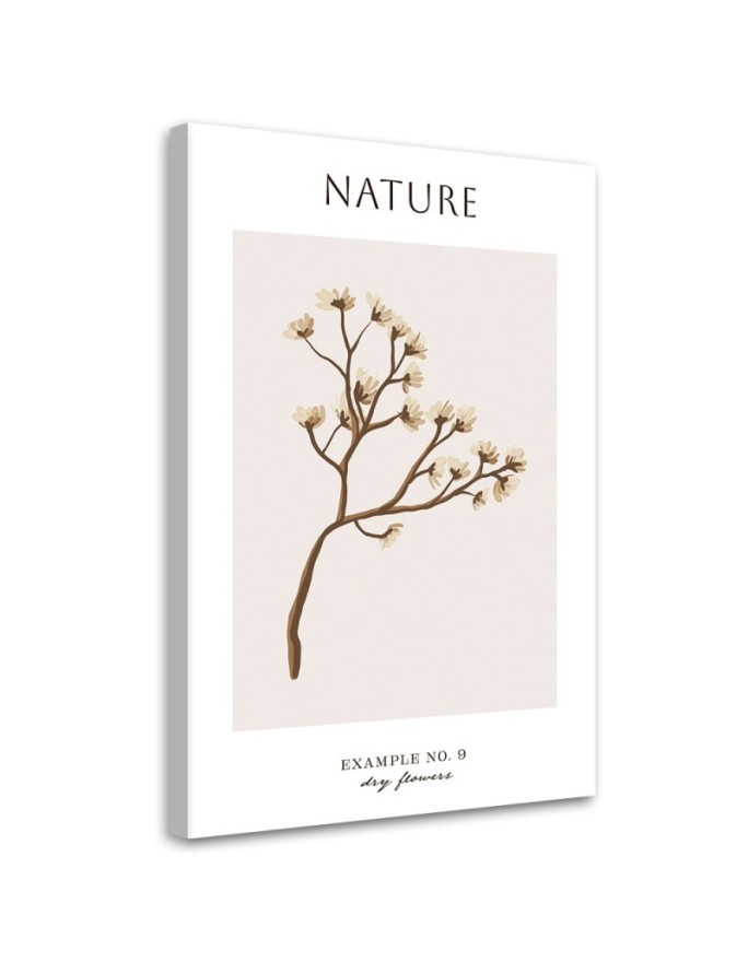 Obraz na płótnie - Wysuszony kwiat - Natura | FEEBY