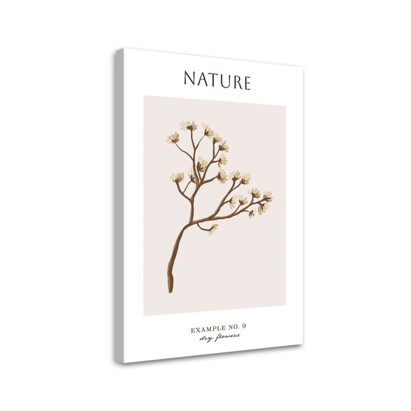 Modernes Wandbild - Trockene Blume - Natur | Feeby