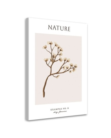 Modernes Wandbild - Trockene Blume - Natur | Feeby