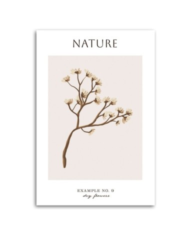 Modernes Wandbild - Trockene Blume - Natur | Feeby