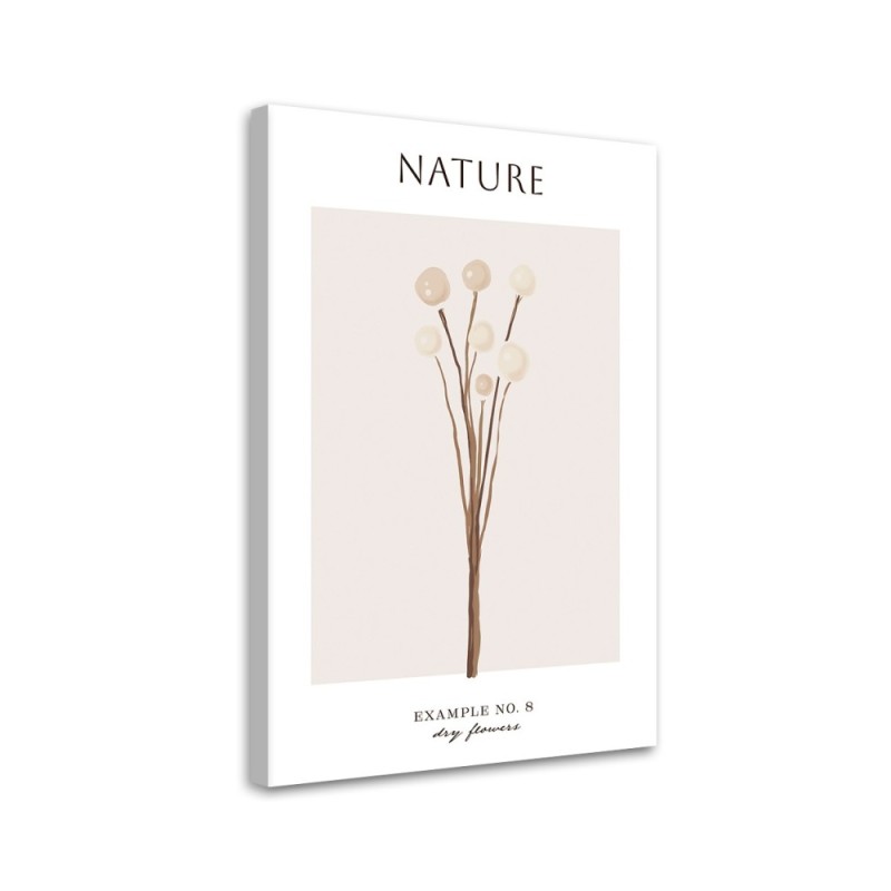 Obraz na płótnie - Wysuszony kwiat - Natura | FEEBY