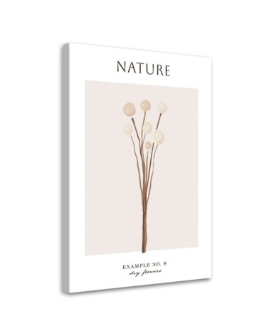 Leinwandbild - Trockene Blume - Natur | Feeby