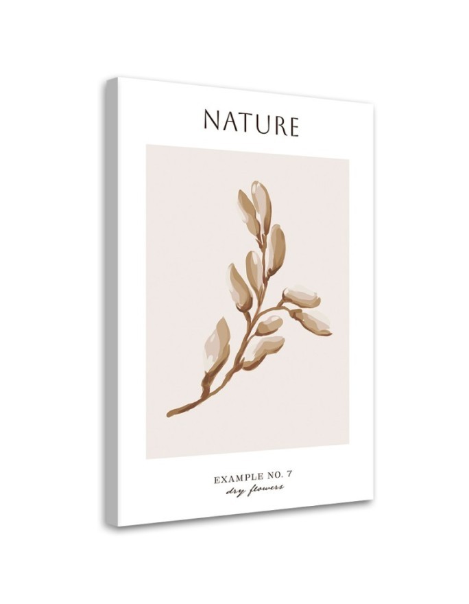 Dekoratives Leinwandbild - Trockene Blume - Natur | Feeby