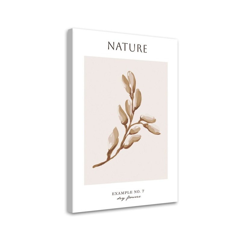 Dekoratives Leinwandbild - Trockene Blume - Natur | Feeby