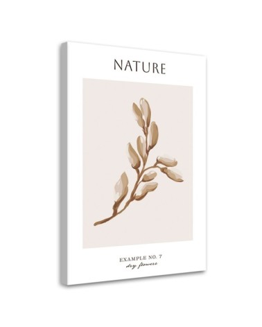 Dekoratives Leinwandbild - Trockene Blume - Natur | Feeby