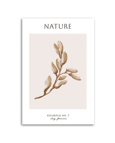 Dekoratives Leinwandbild - Trockene Blume - Natur | Feeby