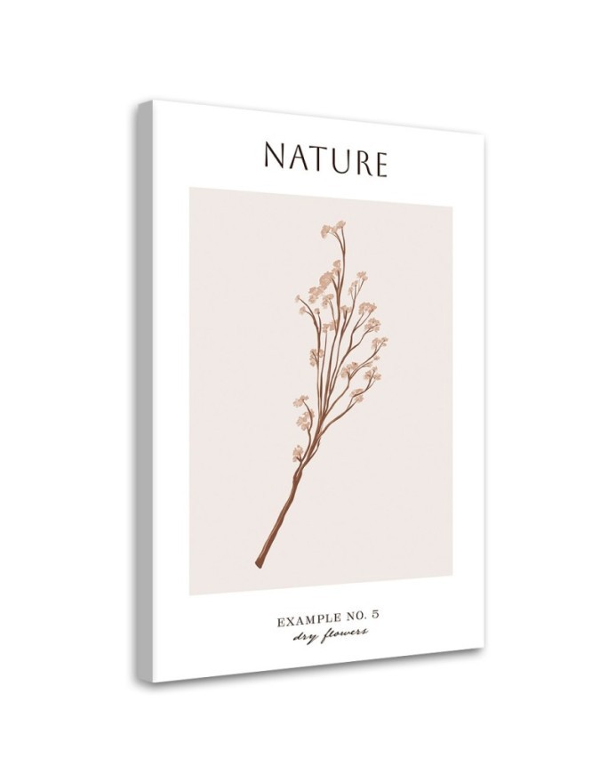 Wandbild für Wohnzimmer - Trockene Blume - Natur | Feeby