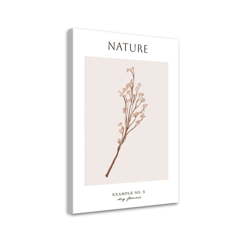 Wandbild für Wohnzimmer - Trockene Blume - Natur | Feeby