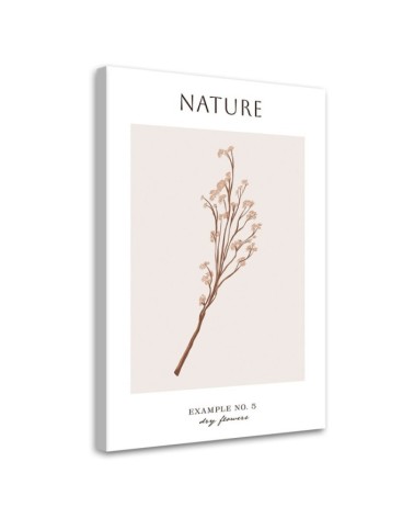 Wandbild für Wohnzimmer - Trockene Blume - Natur | Feeby