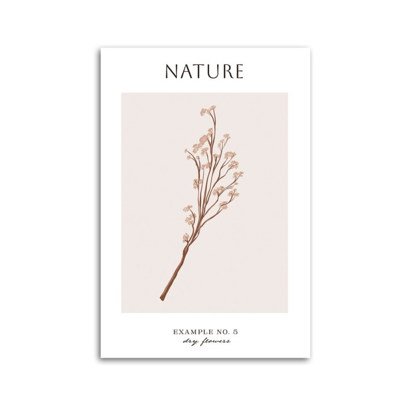 Wandbild für Wohnzimmer - Trockene Blume - Natur | Feeby