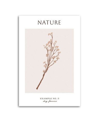 Wandbild für Wohnzimmer - Trockene Blume - Natur | Feeby