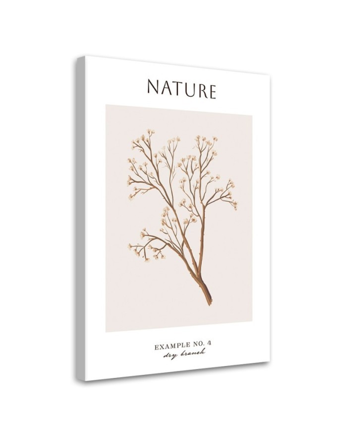 Obraz na płótnie - Sucha gałązka - Natura | FEEBY