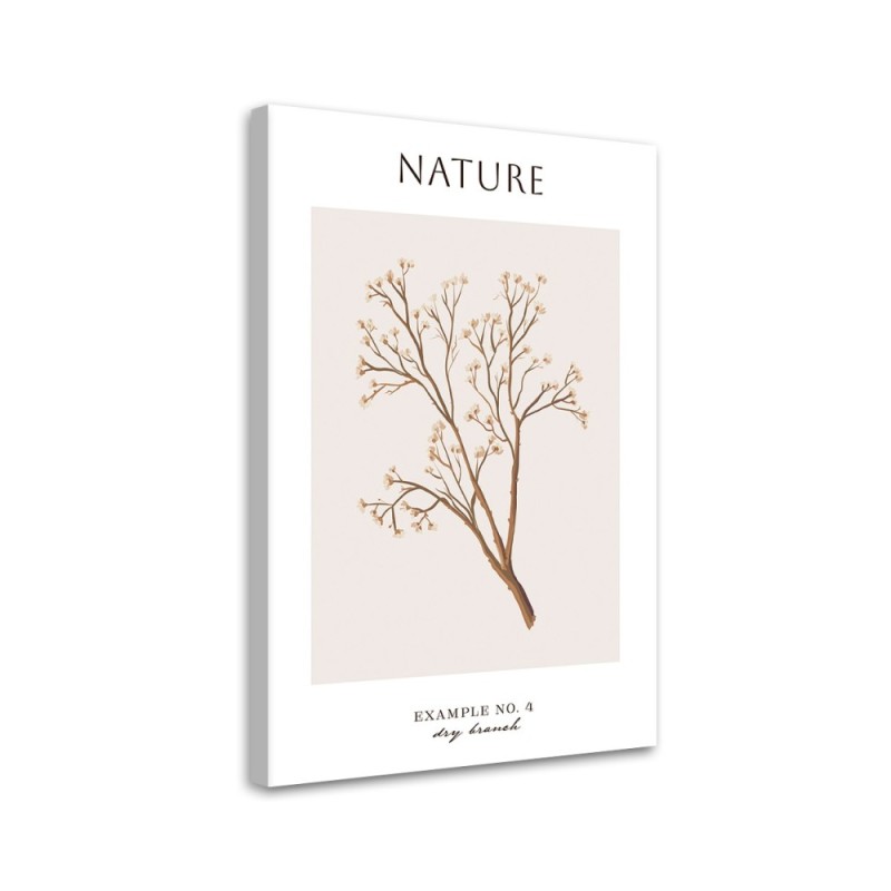 Leinwandbild - Trockener Zweig - Natur | Feeby