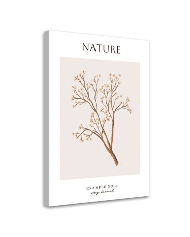 Obraz na płótnie - Sucha gałązka - Natura | FEEBY