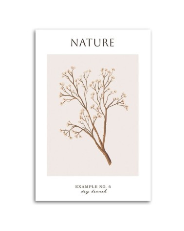 Leinwandbild - Trockener Zweig - Natur | Feeby