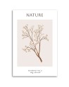 Obraz na płótnie - Sucha gałązka - Natura | FEEBY