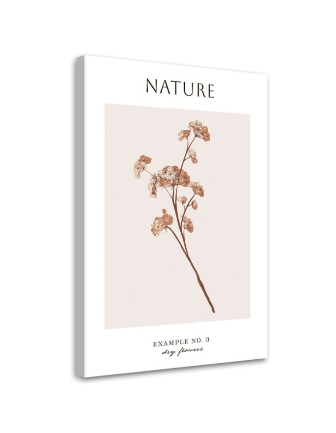 Obraz na płótnie - Wysuszony kwiat - Natura | FEEBY