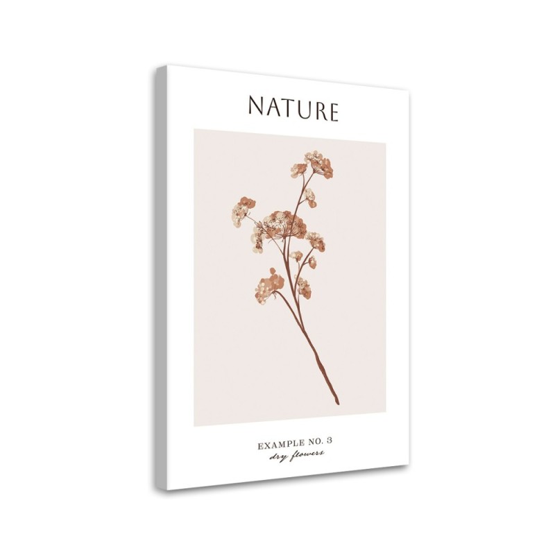 Bild auf Leinwand - Trockene Blume - Natur | Feeby