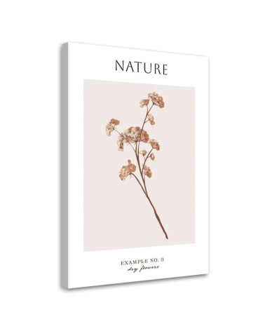 Bild auf Leinwand - Trockene Blume - Natur | Feeby