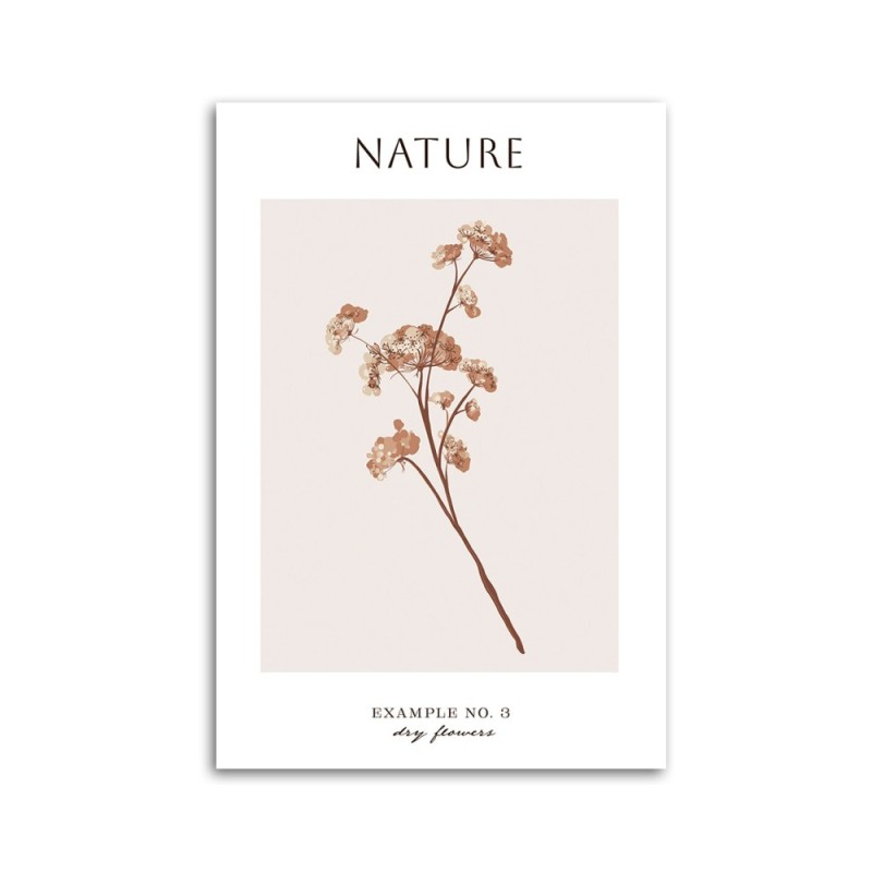 Bild auf Leinwand - Trockene Blume - Natur | Feeby