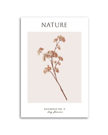Bild auf Leinwand - Trockene Blume - Natur | Feeby