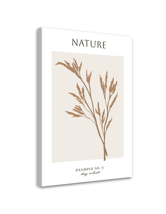 Leinwandbild - Trockener Weizen - Natur | Feeby