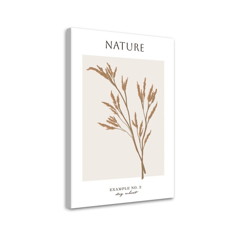Leinwandbild - Trockener Weizen - Natur | Feeby