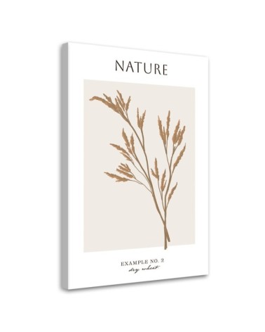 Leinwandbild - Trockener Weizen - Natur | Feeby