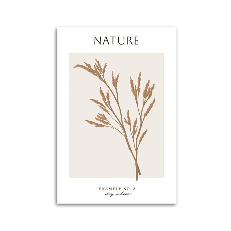 Leinwandbild - Trockener Weizen - Natur | Feeby