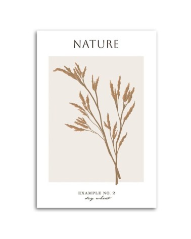 Leinwandbild - Trockener Weizen - Natur | Feeby