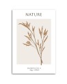 Obraz na płótnie - Suszona pszenica - Natura | FEEBY