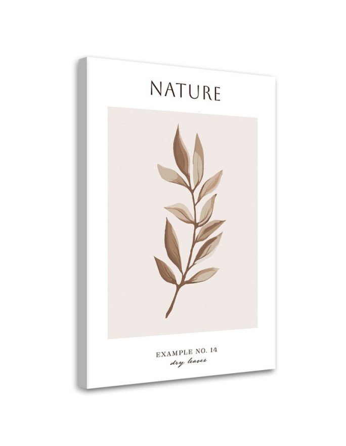 Obraz na płótnie - Suche liście - Natura | FEEBY