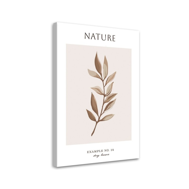 Obraz na płótnie - Suche liście - Natura | FEEBY