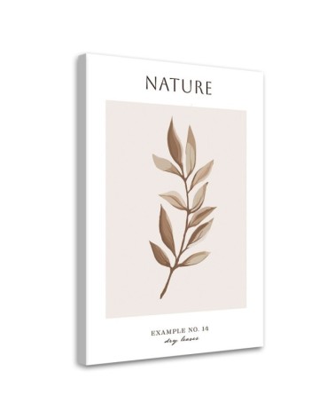 Bild auf Leinwand - Trockene Blätter - Natur | Feeby