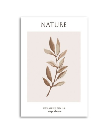 Obraz na płótnie - Suche liście - Natura | FEEBY