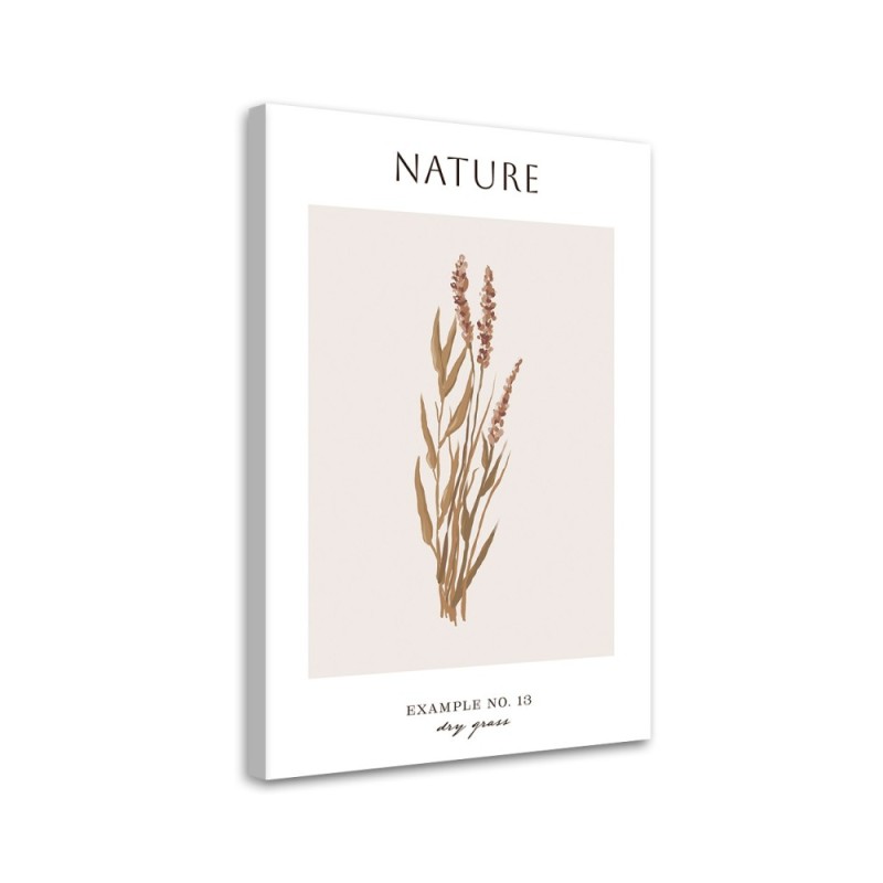 Leinwandbild - Trockenes Gras - Natur | Feeby