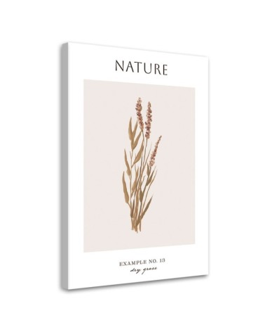 Leinwandbild - Trockenes Gras - Natur | Feeby