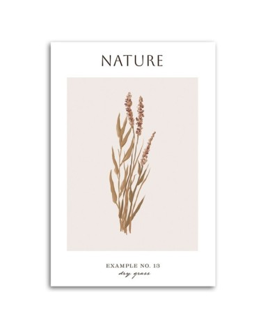 Leinwandbild - Trockenes Gras - Natur | Feeby