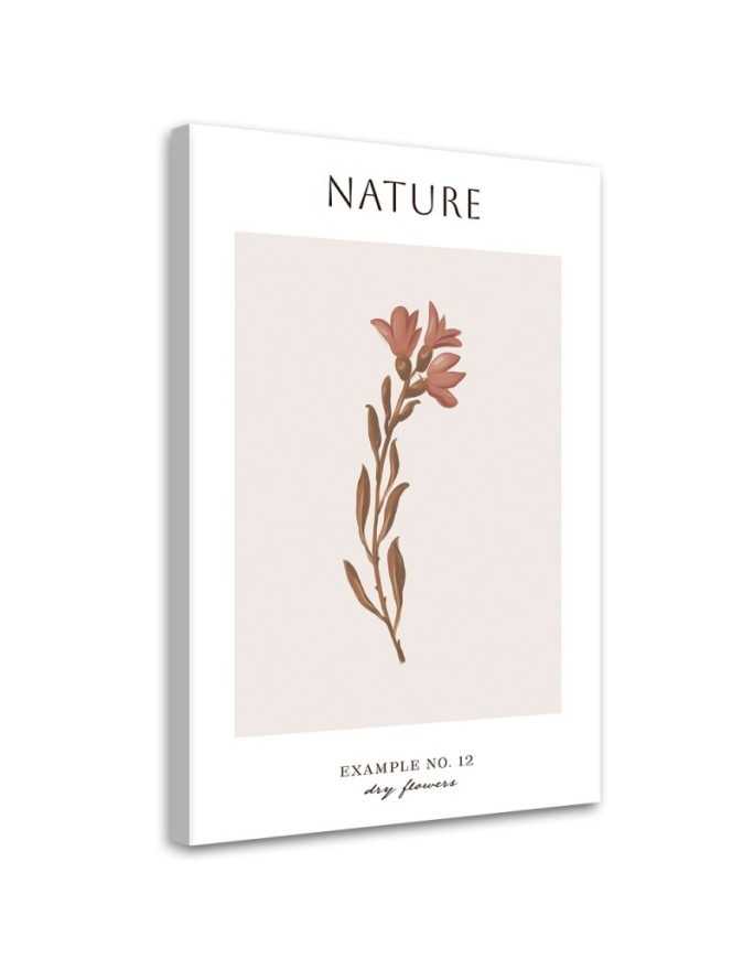 Obraz na płótnie - Wysuszony kwiat - Natura | FEEBY