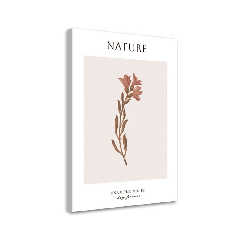 Leinwanddruck - Trockene Blume - Natur | Feeby