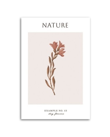 Leinwanddruck - Trockene Blume - Natur | Feeby