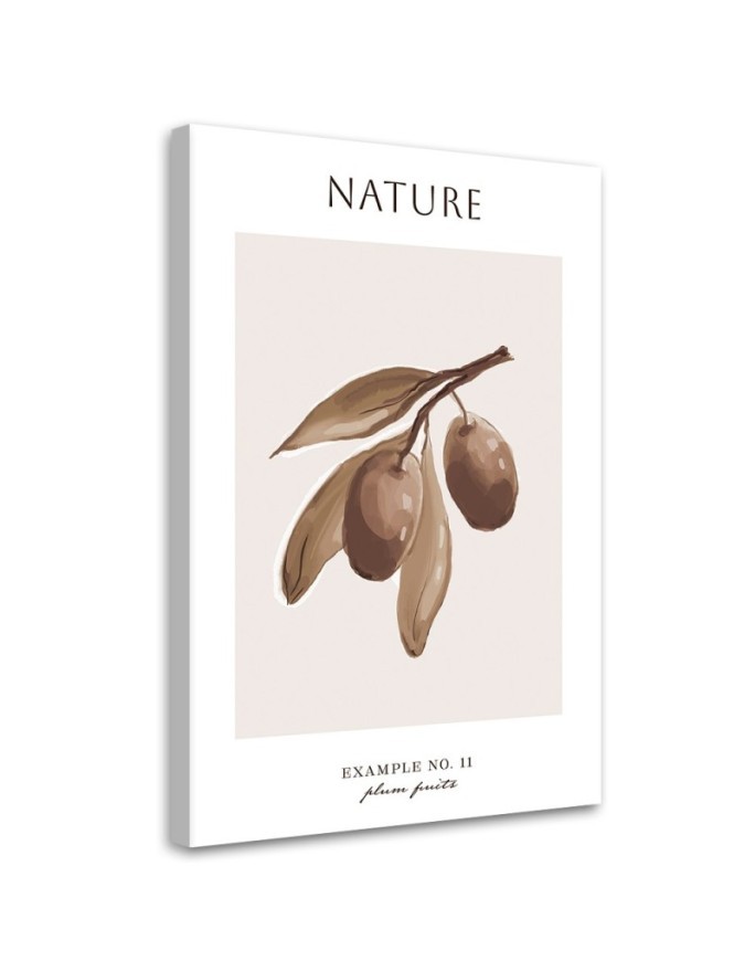 Bild auf Leinwand - Pflaumenfrucht - Natur | Feeby