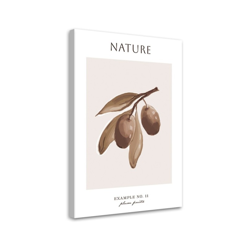 Bild auf Leinwand - Pflaumenfrucht - Natur | Feeby