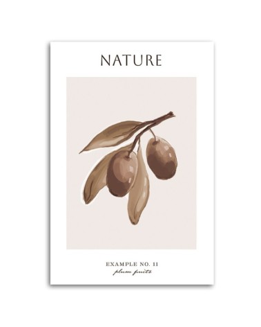 Bild auf Leinwand - Pflaumenfrucht - Natur | Feeby