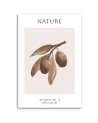 Obraz na płótnie - Owoc śliwki - Natura | FEEBY