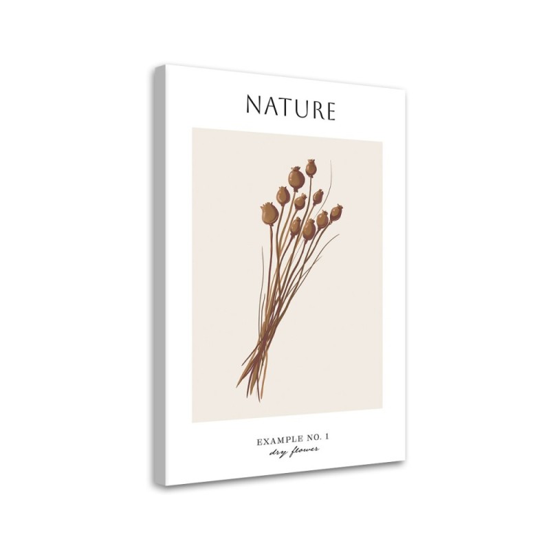 Leinwandbild - Trockene Blume - Natur | Feeby