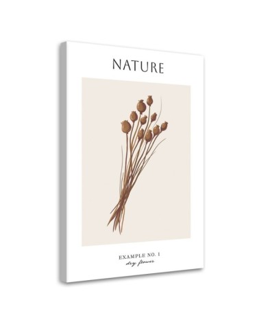 Leinwandbild - Trockene Blume - Natur | Feeby